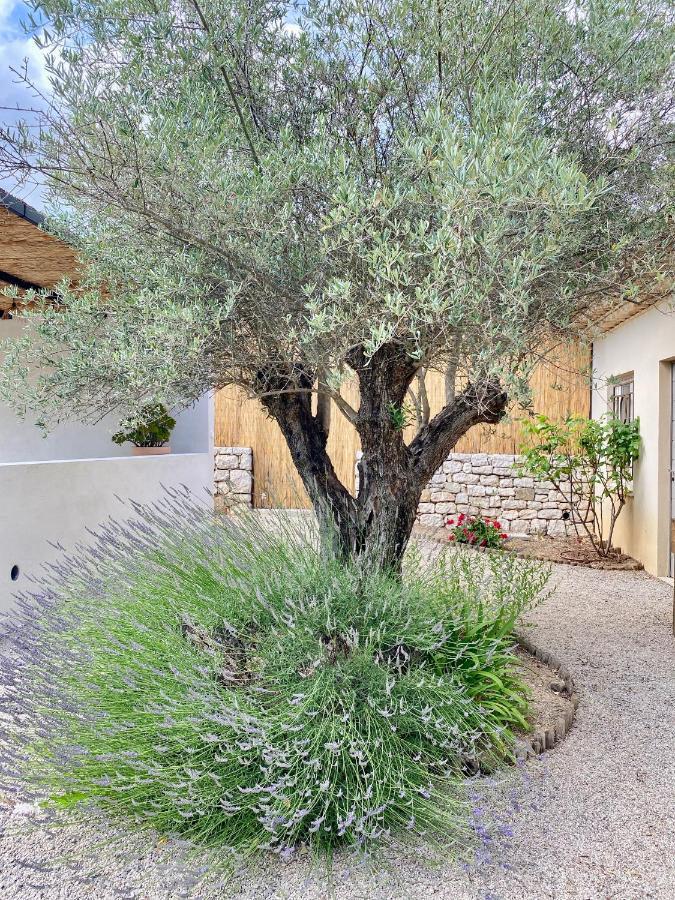 Le Cabanon Valbonne Daire Dış mekan fotoğraf